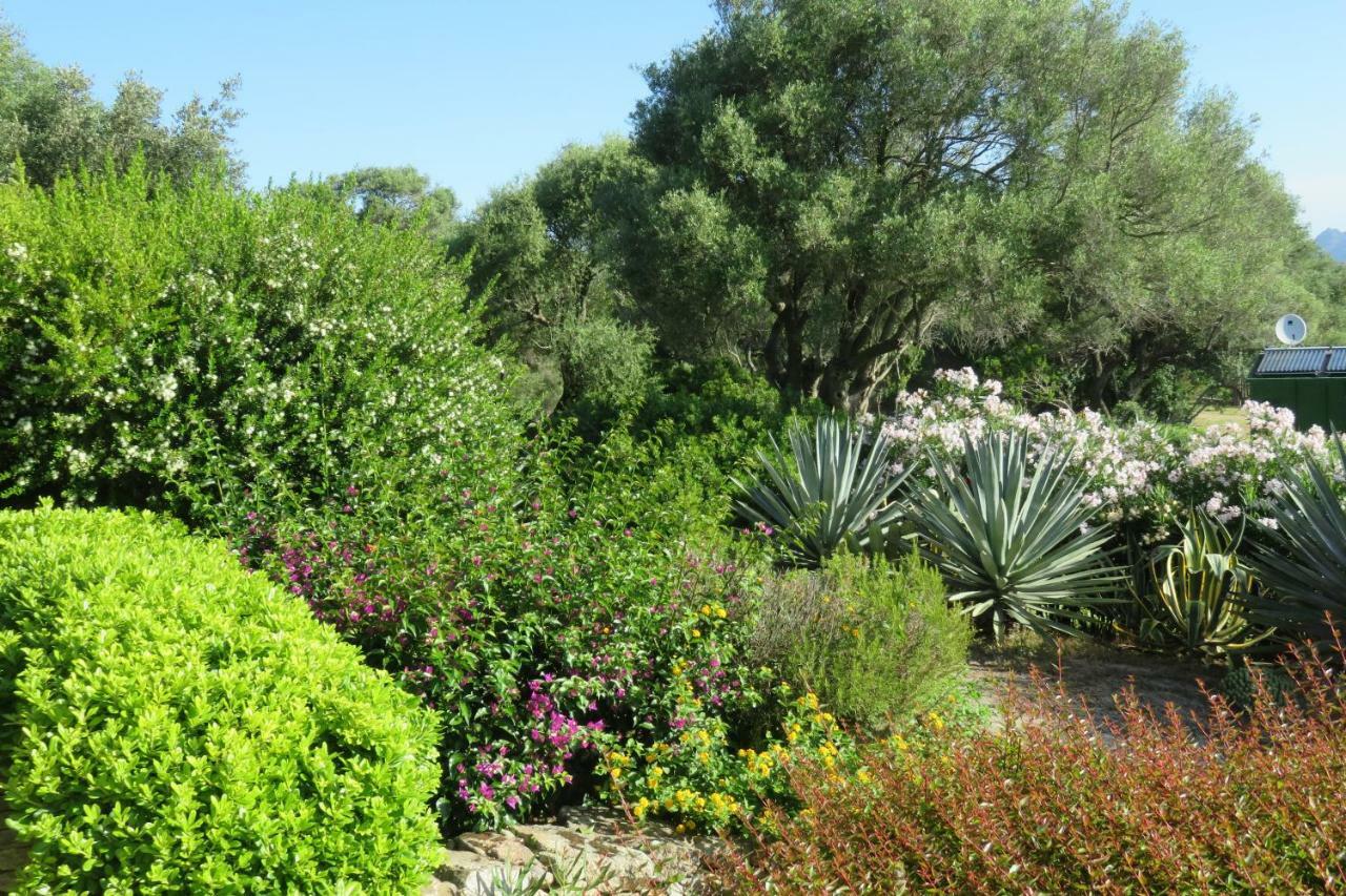 Spartaco Eco Retreat San Pantaleo Sole Ruiu Exterior photo